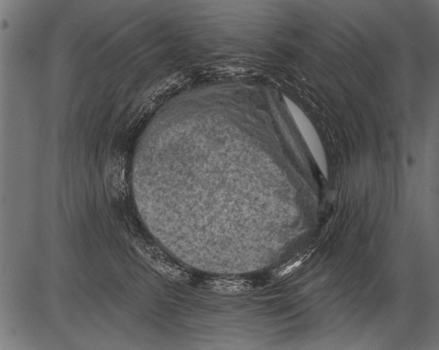 X0000081360615200702020142