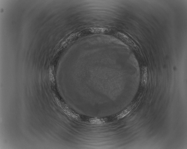 X0000081360616200702020142