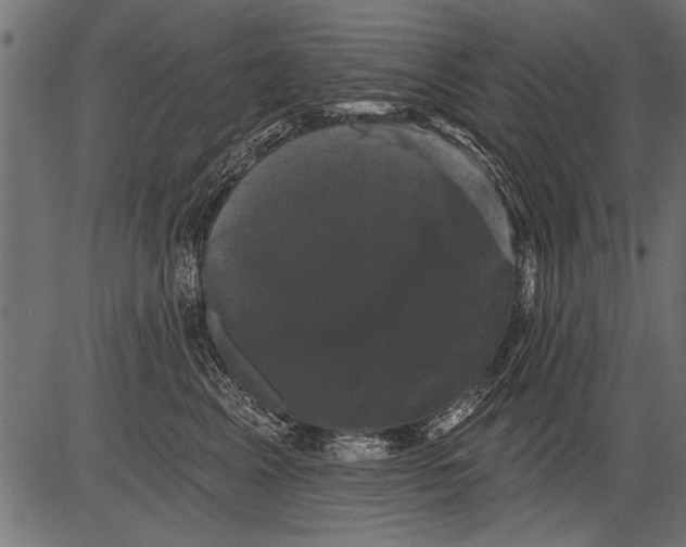 X0000081360617200702020142