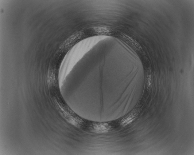 X0000081360618200702020142