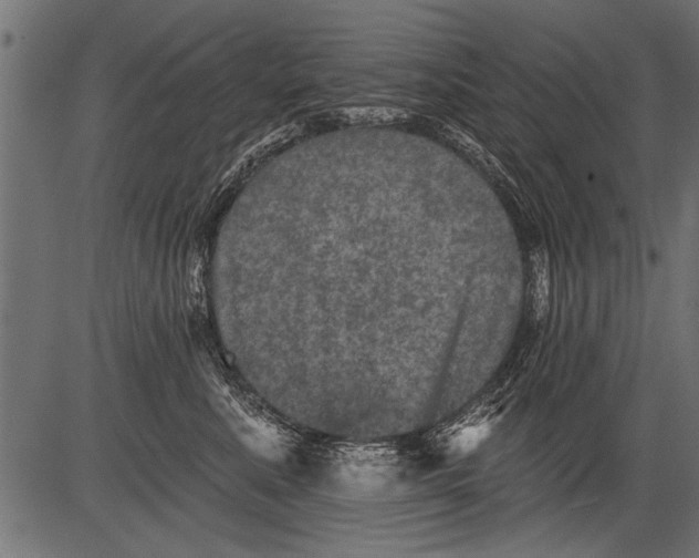 X0000081360619200702020142