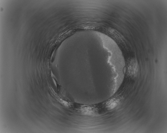 X0000081360620200702020142