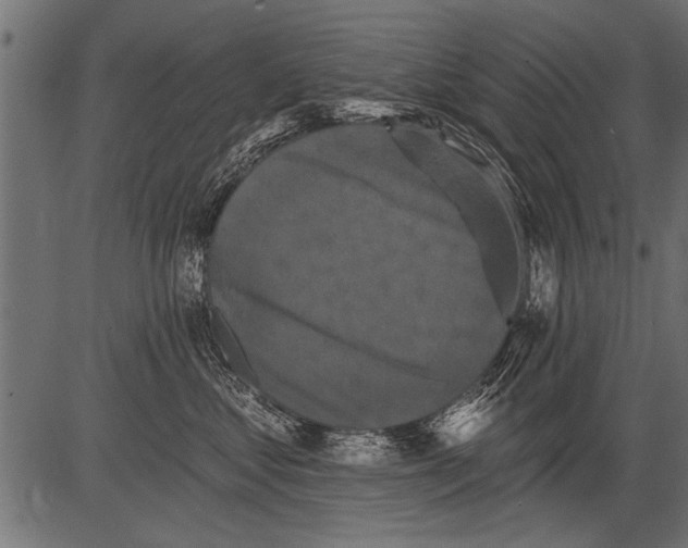 X0000081360621200702020141