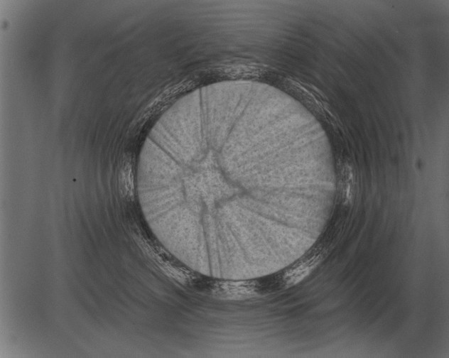 X0000081360622200702020141