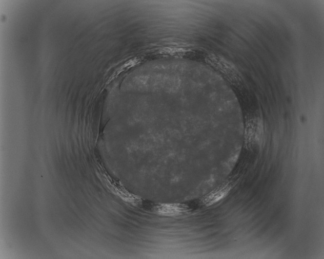 X0000081360623200702020141