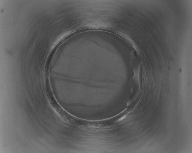 X0000081360626200702020141