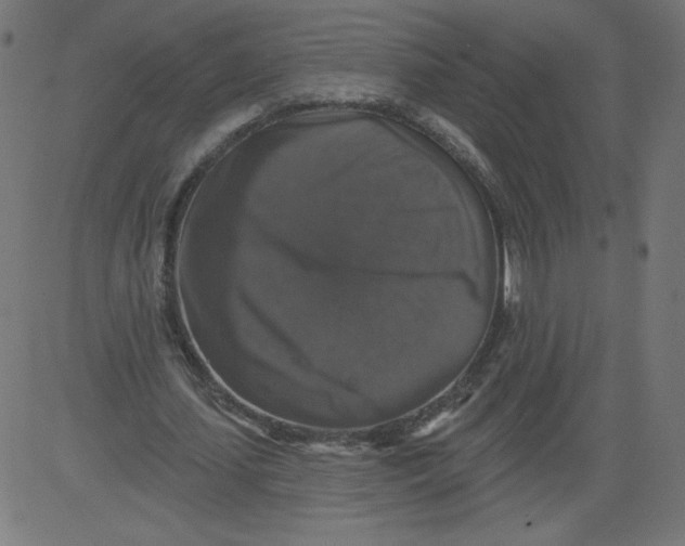 X0000081360627200702020141