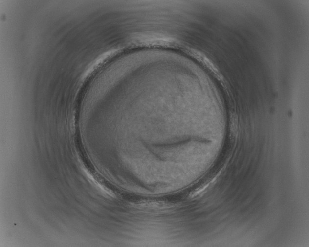 X0000081360629200702020141