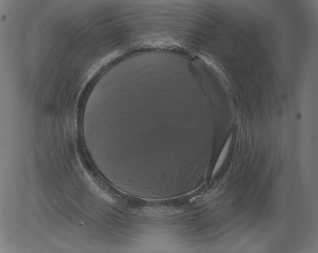 X0000081360630200702020141