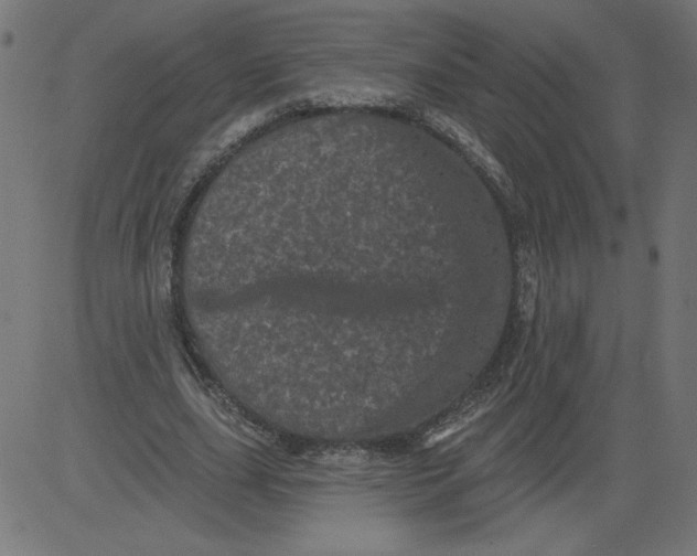 X0000081360631200702020141