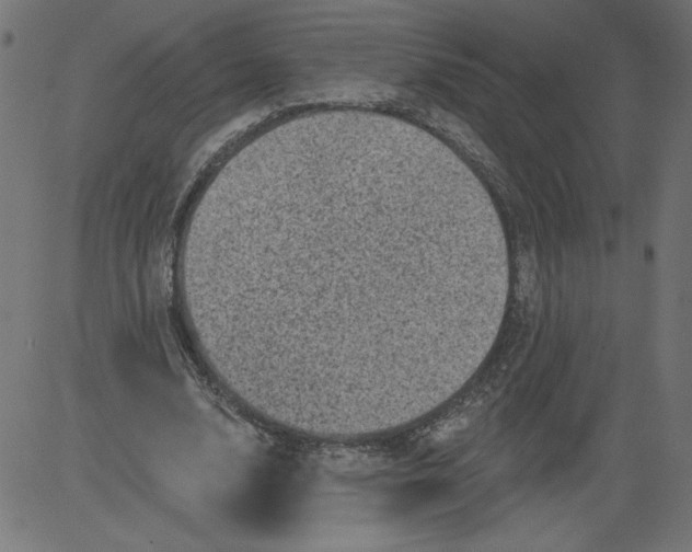 X0000081360632200702020141