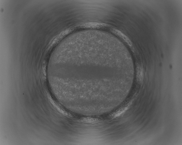 X0000081360633200702020141