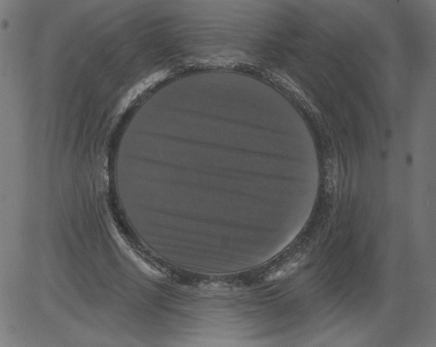 X0000081360634200702020141