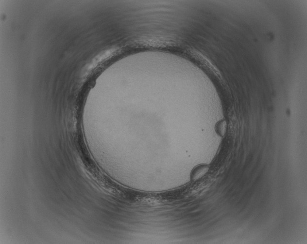 X0000081360635200702020141