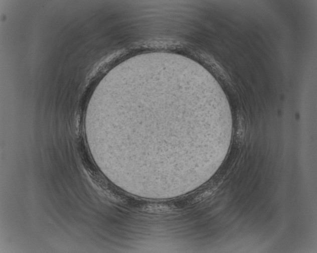 X0000081360636200702020141