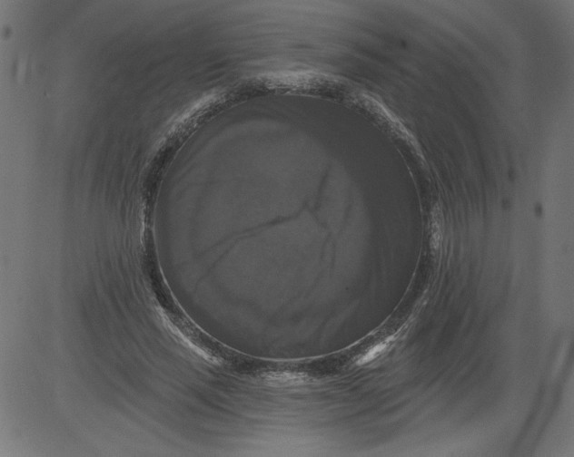 X0000081360637200702020141