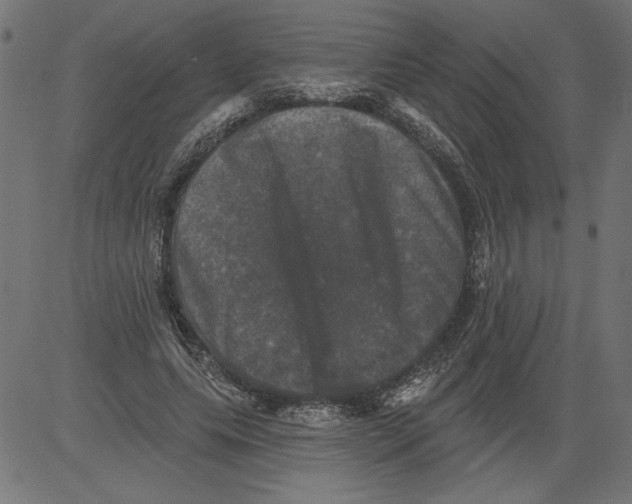 X0000081360639200702020141