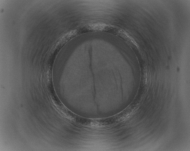 X0000081360641200702020141