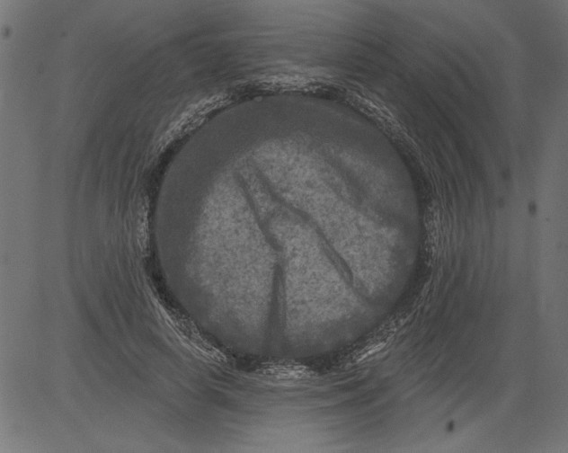 X0000081360642200702020141