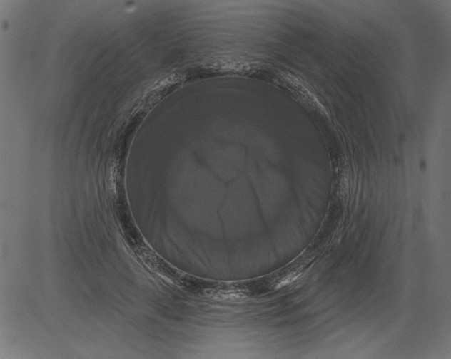 X0000081360643200702020141