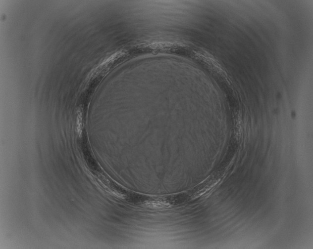 X0000081360644200702020141