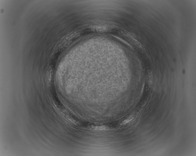 X0000081360645200702020141