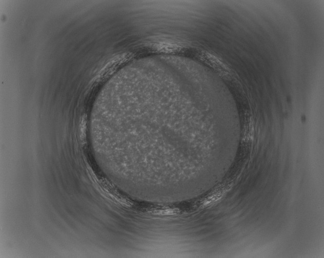 X0000081360646200702020141