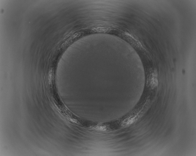 X0000081360647200702020141