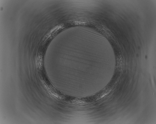 X0000081360648200702020141