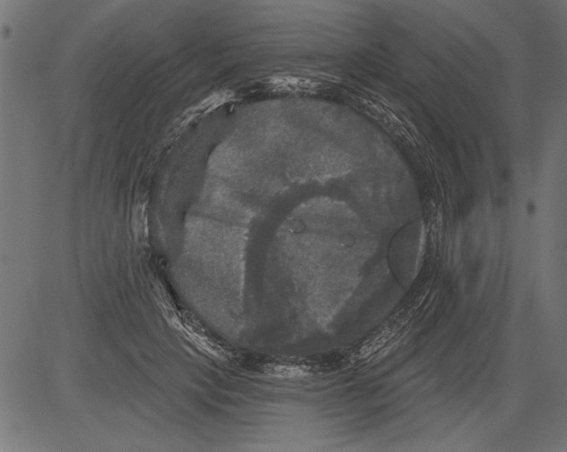 X0000081360649200702020141