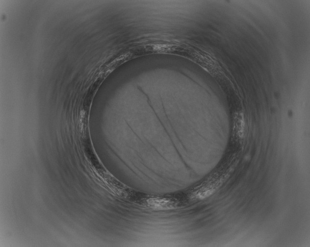 X0000081360650200702020141