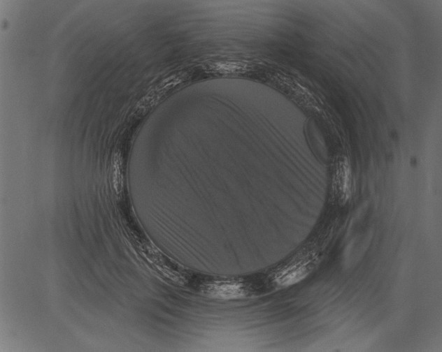 X0000081360651200702020141