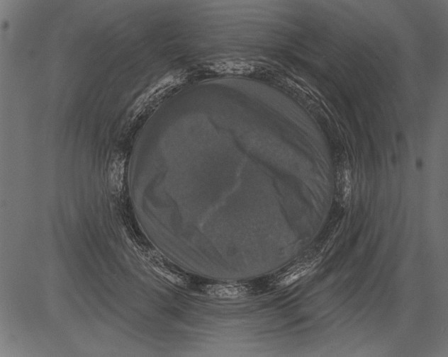 X0000081360652200702020141