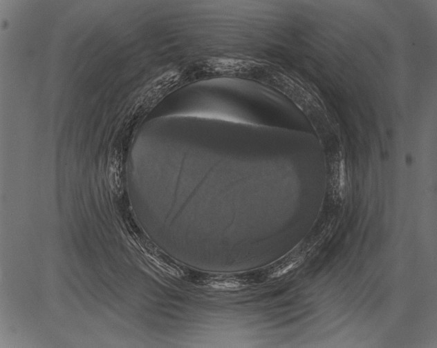 X0000081360653200702020141