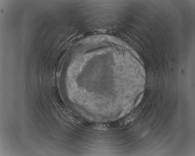 X0000081360656200702020141