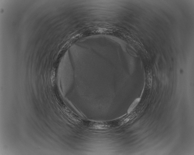 X0000081360657200702020141