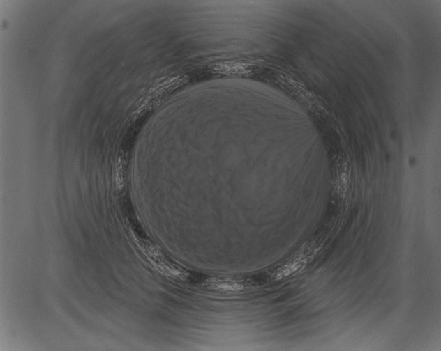 X0000081360658200702020141