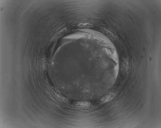 X0000081360659200702020141