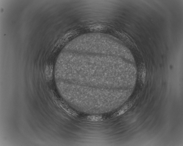 X0000081360660200702020141