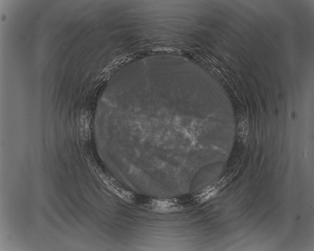 X0000081360662200702020141