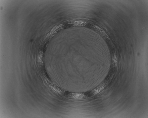 X0000081360663200702020141