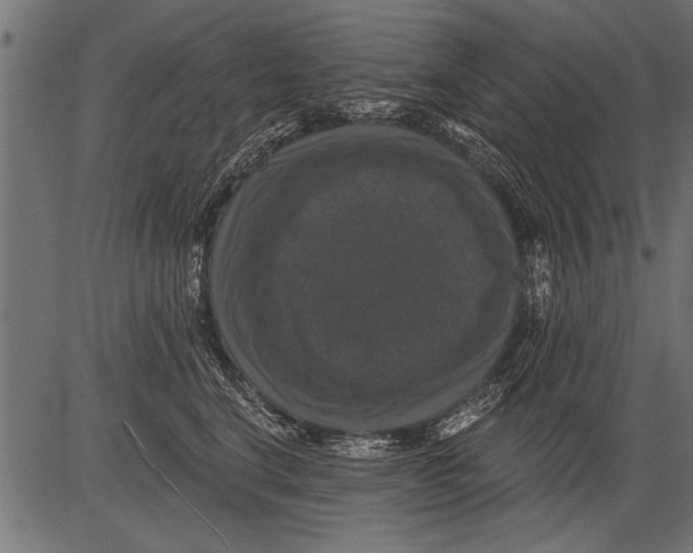 X0000081360664200702020141