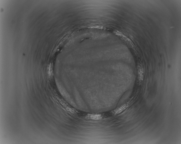 X0000081360665200702020141