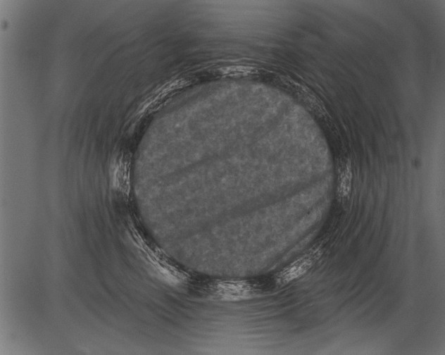 X0000081360666200702020141