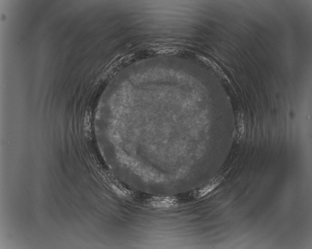 X0000081360667200702020141