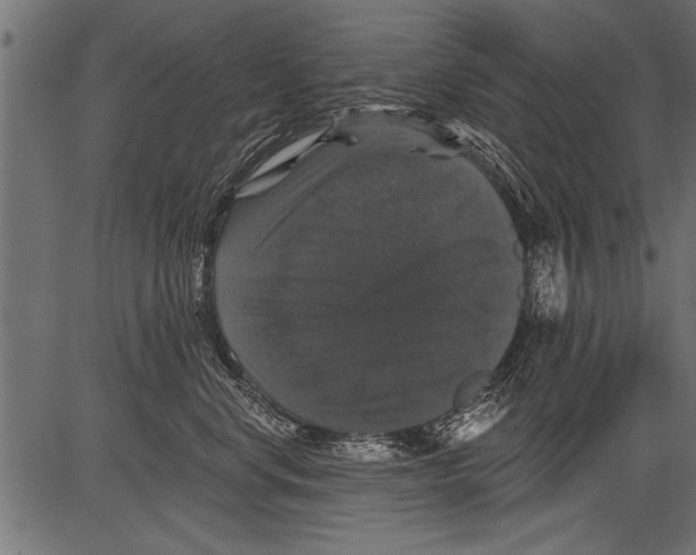 X0000081360668200702020141