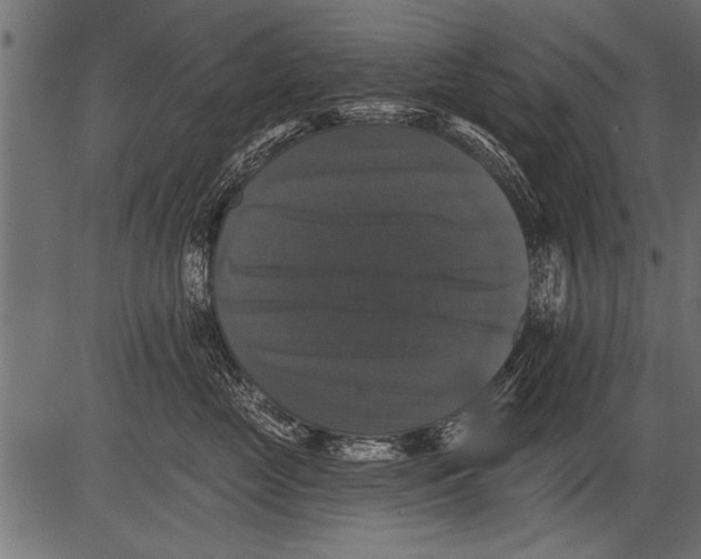 X0000081360669200702020141