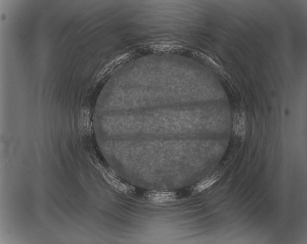 X0000081360670200702020141