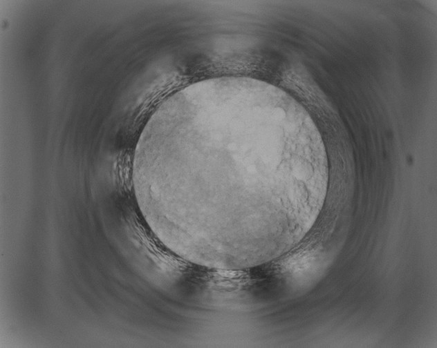 X0000081360672200702020141