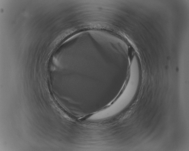 X0000081360673200702020141